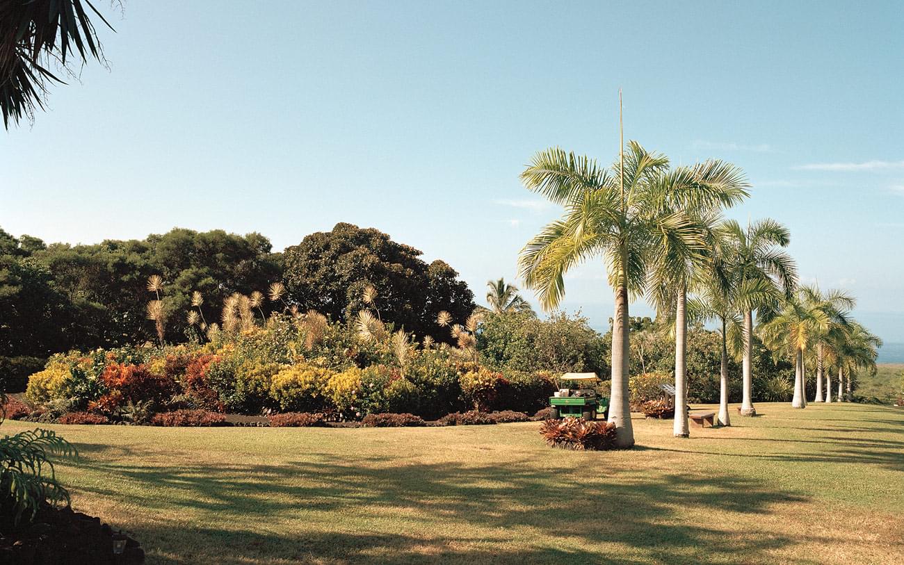 Sterne über Hawaii - Galaxy Garden &ndash; Eine Karte unserer Galaxie aus lebenden Pflanzen, angelegt von Jon Lomberg, Kona