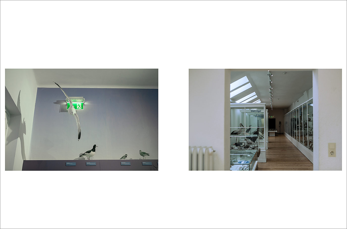 Project Week at Muthesius Kunsthochschule Kiel "Von anderen R&auml;umen"