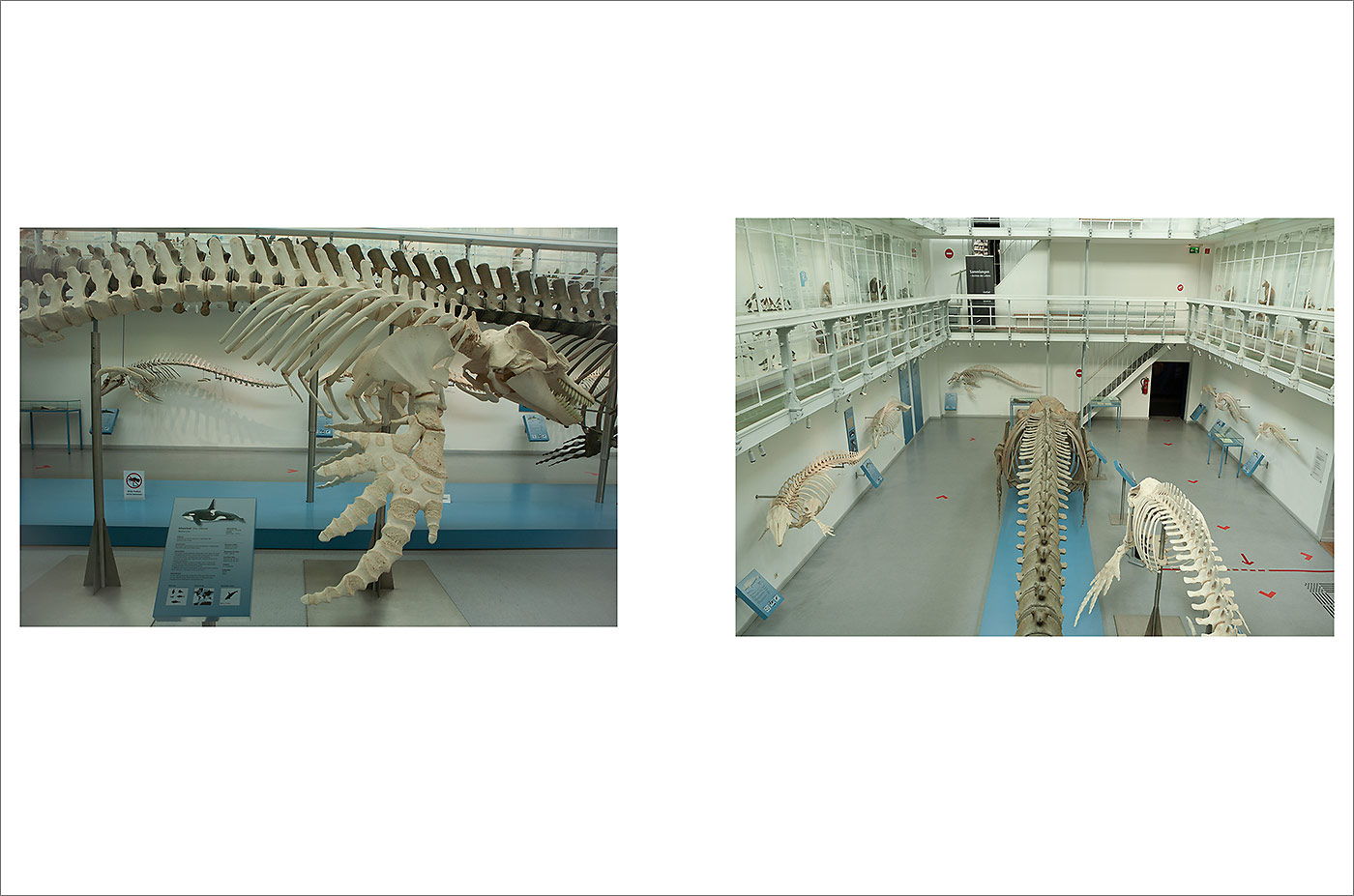 Project Week at Muthesius Kunsthochschule Kiel "Von anderen R&auml;umen"