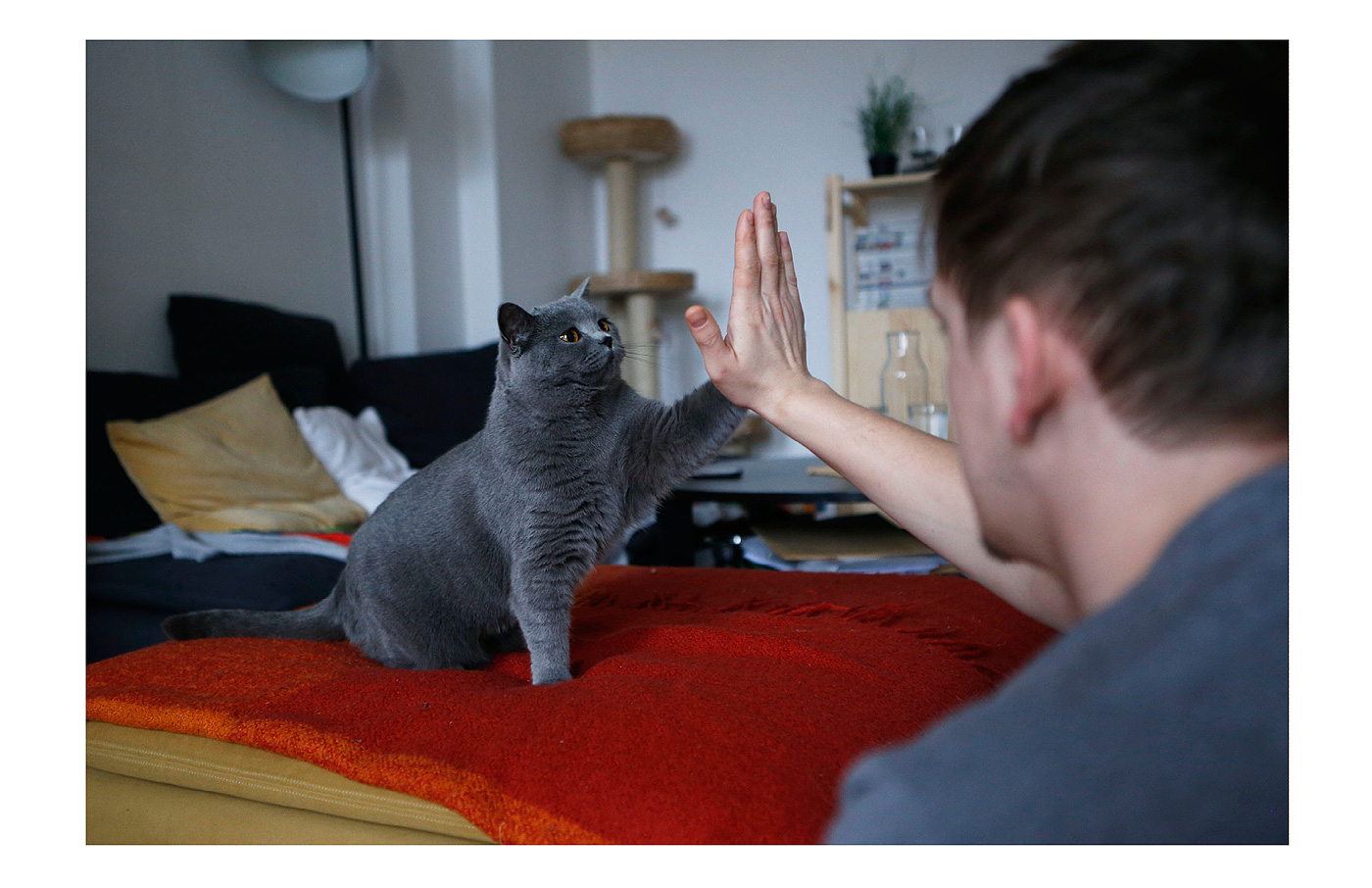 Seminar &raquo;Designgrundlagen Fotografie&laquo;