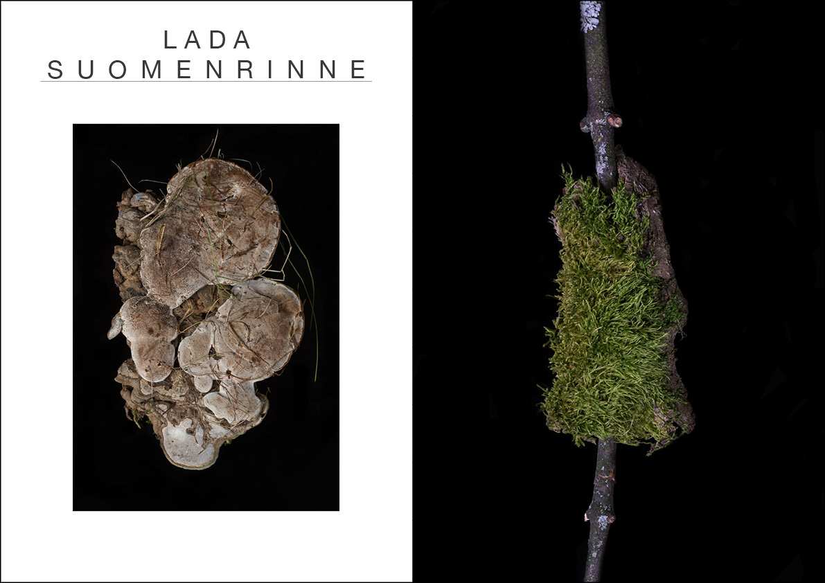 Publication &raquo;Lighting Design&laquo;